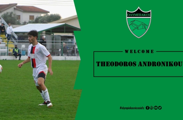 andronikou website
