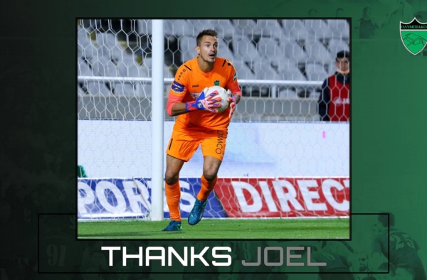 thanks joel website